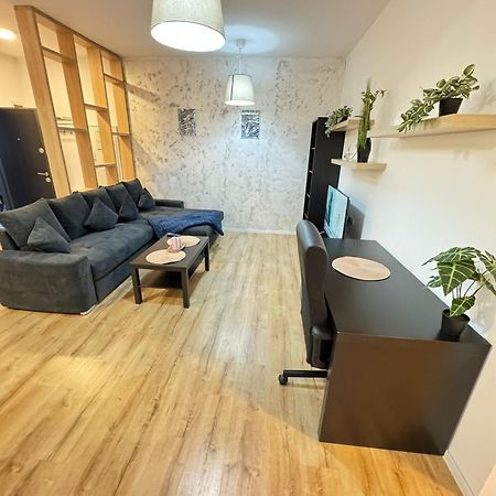Glam Apartments Lipatti Near Iulius Mall And City Center تيميشورا المظهر الخارجي الصورة